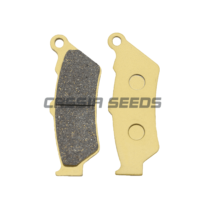 DUCATI Diavel Carbon AMG Dark  - Carbon Ceramic Motorcycle Brake Rotor 리뷰 및 가격