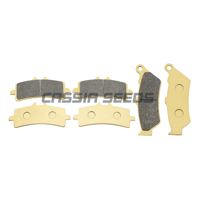 DUCATI Diavel Carbon AMG Dark  - Carbon Ceramic Motorcycle Brake Rotor 리뷰 및 가격